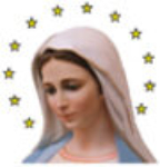 Comitato  Medjugorje 